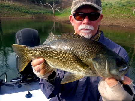 Episode 10: Nepean River Bass With Todd Young