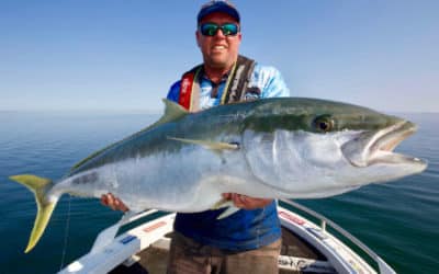 Episode 5: South-West Victorian Kingfish With Scott Gray