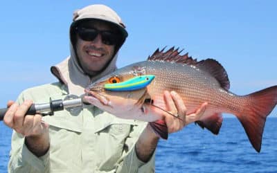 Episode 21: Cooktown Coral Flats Mayhem With Andrew Susani