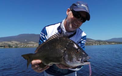 Episode 24: Derwent Estuary Black Bream With Plinio Taurian