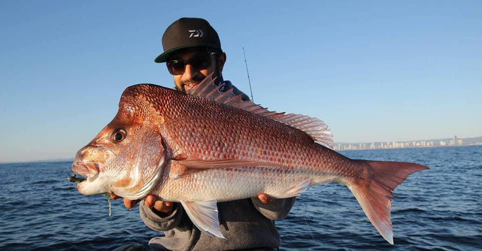 Episode 43: Gold Coast Snapper With Nabeel Issa