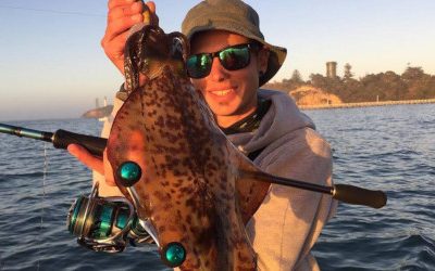 Episode 44: Port Phillip Bay Squid With Jesse Rotin