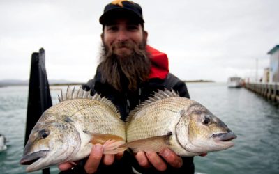 Episode 63: Forster Oyster Rack Bream With Kris Hickson