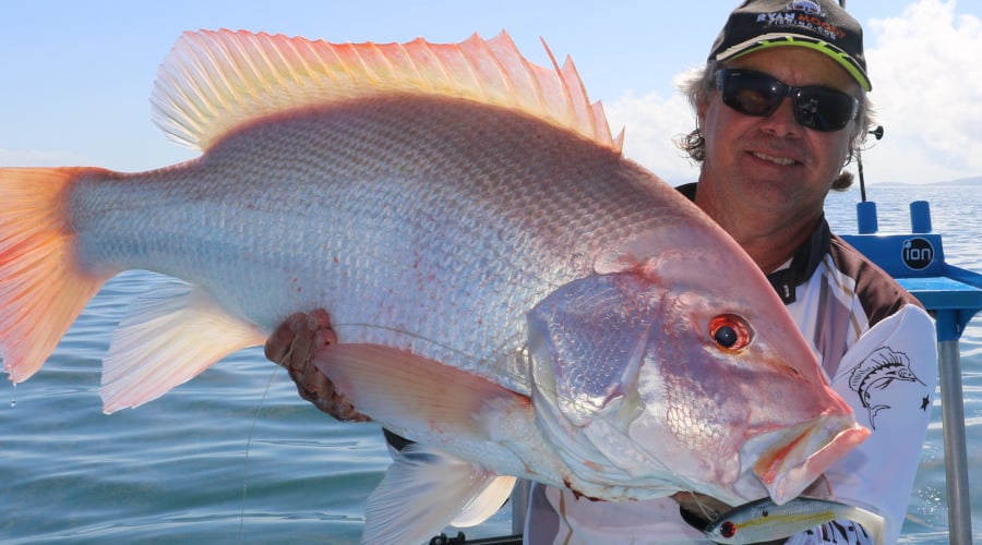 Episode 54: Cardwell Scarlet Sea Perch With Ryan Moody