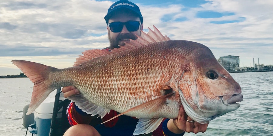 How to catch snapper  Snapper Fishing Tips Melbourne