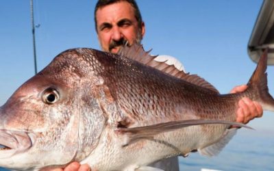 Episode 73: Perth Snapper With Allan Bevan