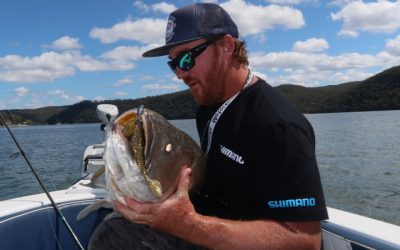 Episode 94: Greater Sydney Daylight Jewfish With Chris Cleaver