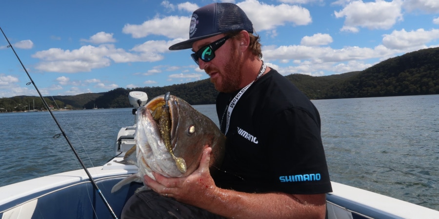 Secrets Of Sydney Daylight Jewfish With Chris Cleaver