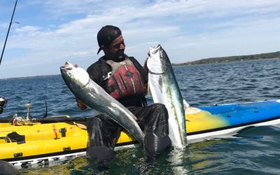 Episode 101: Portland Kayak Kingfish With Rob Maya
