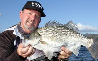 Episode 98: Wivenhoe And Somerset Bass With Scott Mitchell