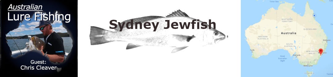 Chris Cleaver Sydney Daylight Jewfish