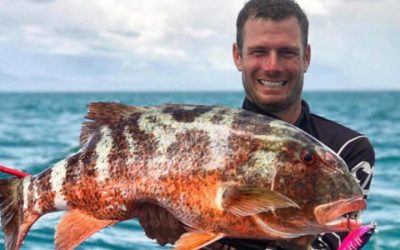 Episode 112: Cairns Coral Reef Flats Chinaman Fish With Sticks