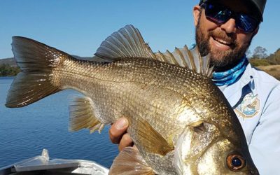 Episode 108: Hawkesbury River Estuary Perch With Dan Selby