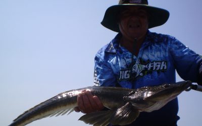 Episode 116: NSW Mid North Coast Surface Flathead With Crossy