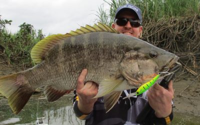 Episode 126: Terapo (PNG) Black Bass With The Wells Boys
