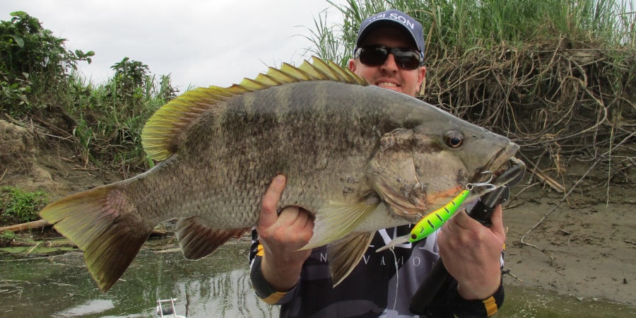 Episode 126: Terapo (PNG) Black Bass With The Wells Boys