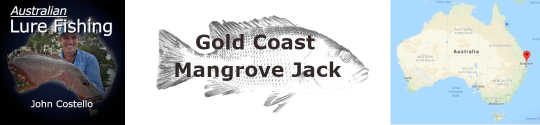 How to catch a mangrove jack on the Gold Coast With John Costello