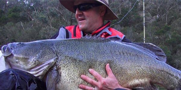 Episode 136: New England Murray Cod With Rob Paxevanous