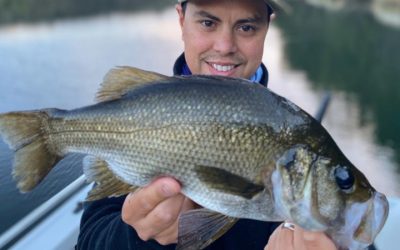 Episode 142: Shoalhaven Estuary Perch With Anthony Kalsow