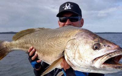 Episode 152: St Georges Basin Jewfish With Dave Johnstone