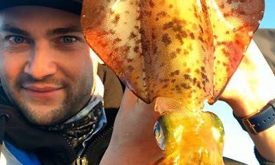 Sydney Calamari Squid With Ben O’Brien