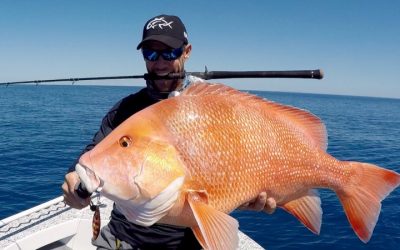 Episode 162: Airlie Beach Red Emperor With Tony Bygrave