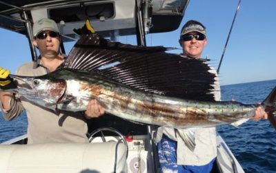 Episode 164: Exmouth Sailfish With Steve Riley