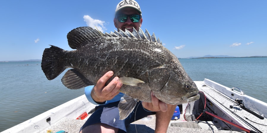 Episode 163: Gladstone Tripletail With Dan Powell