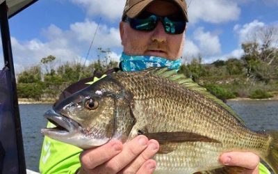 Episode 173: Anson’s Bay Bream With Michael Haley
