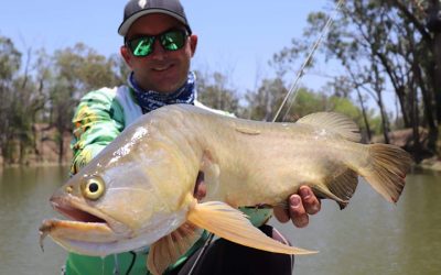 Episode 180: Bedford Weir Saratoga With Matt Hildebrandt