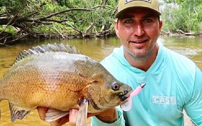 Episode 174: Connors River Sooty Grunter With Andrew Trigg