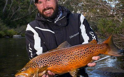 Episode 186: Snowy Mountains Trout With Josh Carpenter