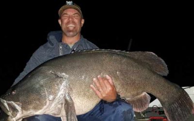 Episode 233: Blowering Dam Murray Cod With Clint Hansell