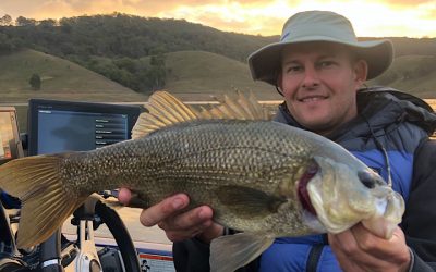 Episode 242: Lake Saint Clair Bass With Matthew Langford