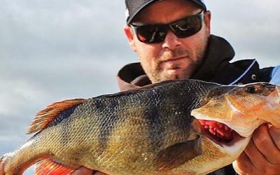 Episode 243: Lake Purrumbete Redfin Perch With Michael Evans