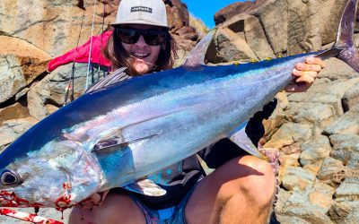 Episode 244: Wide Bay Longtail Tuna Land-Based With Matt McCulloch