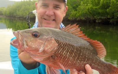 Episode 257: Cairns Mangrove Jack With Phil Laycock