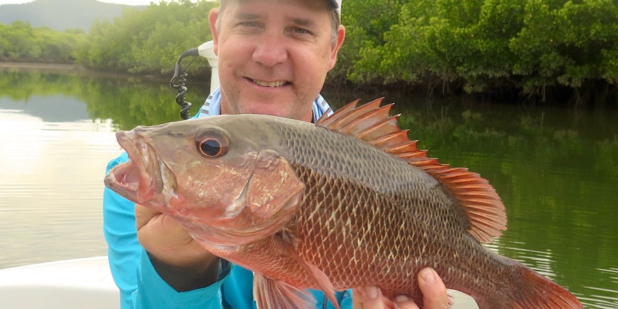 Episode 257: Cairns Mangrove Jack With Phil Laycock