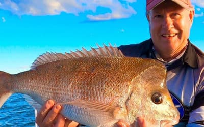 Episode 260: Newcastle Snapper With David Rudder