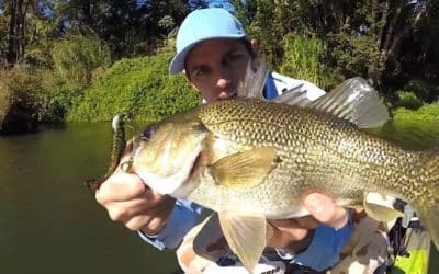 Episode 261: SE Queensland Skinny Water Bass With John Costello