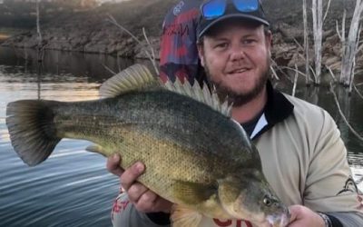 Episode 252: Lake Windamere Yellowbelly With Shane Banks