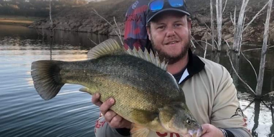 Episode 252: Lake Windamere Yellowbelly With Shane Banks