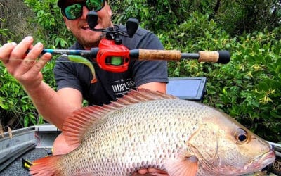 Episode 293: Coffs Harbour Mangrove Jack With Shane Holding