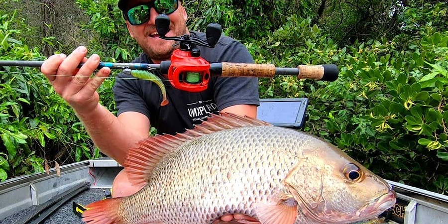 Episode 293: Coffs Harbour Mangrove Jack With Shane Holding