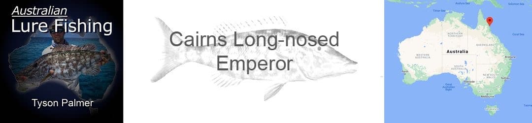 Cairns Long-nosed Emperor with Tyson Palmer