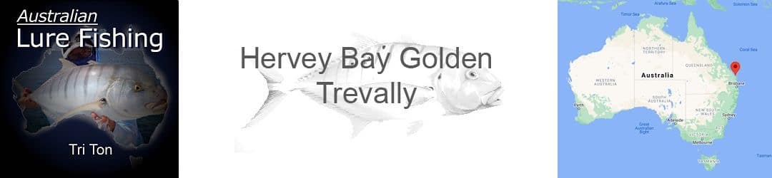 Hervey Bay Golden Trevally Tri Ton