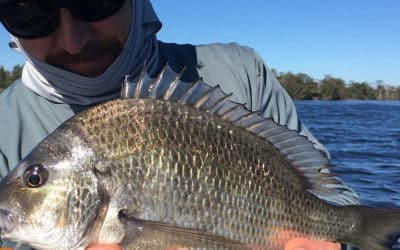 Episode 305: St Georges Basin Bream With Greg Reid