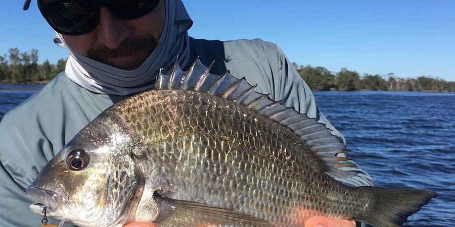 Episode 305: St Georges Basin Bream With Greg Reid