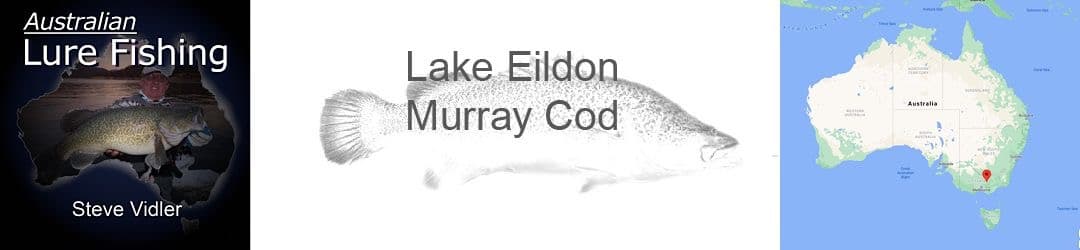 Lake Eildon Murray Cod With Steve Vidler