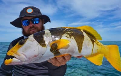 Episode 320: Hinchinbrook Coral Trout With Jimmy Falkenberg